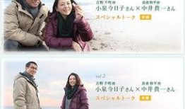 倒数第二次恋爱在线观看,重温青春记忆，共赴情感旅程