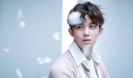 吴磊娱乐圈爆料视频合集,揭秘明星幕后故事